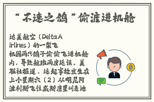 Rapidu国精产品一品二品